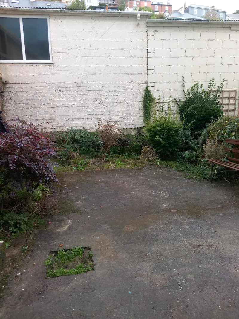 Rear courtyard and parking area