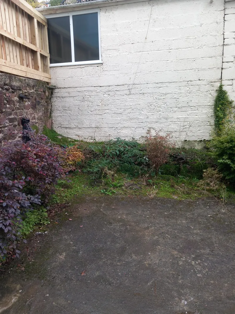 Courtyard garden